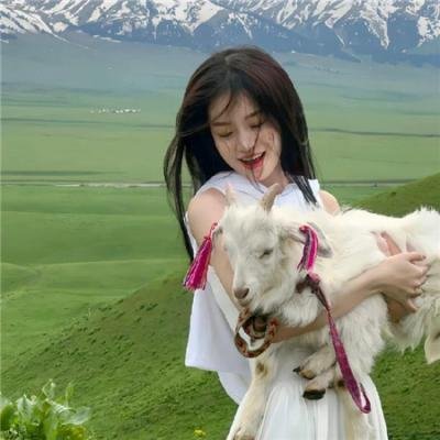 不离无爱